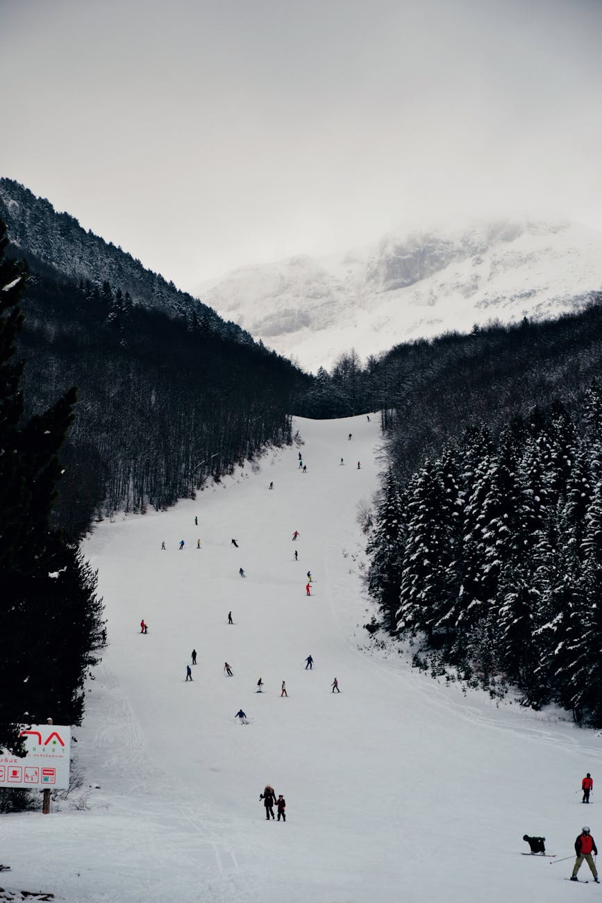 snowboard and ski lanscape